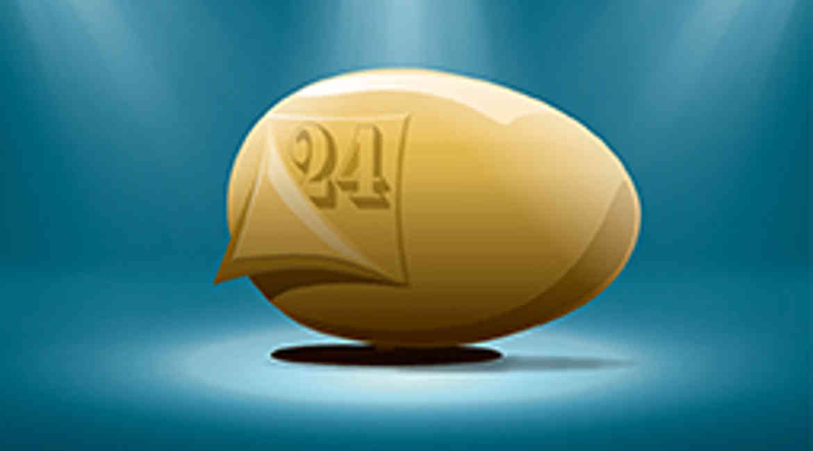 Sole24ore NEF Banner 2 255X255px