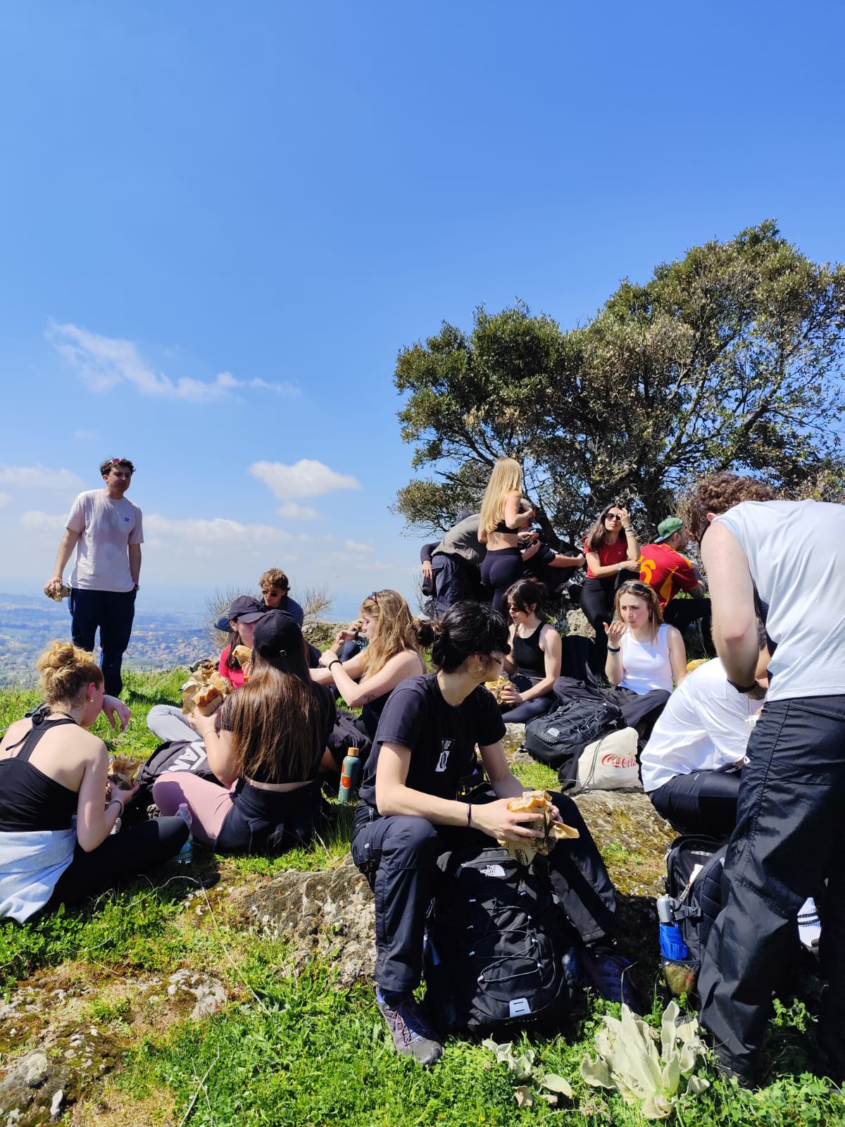 1B8c4adf 89C6 4173 9B93 974E355c8faf